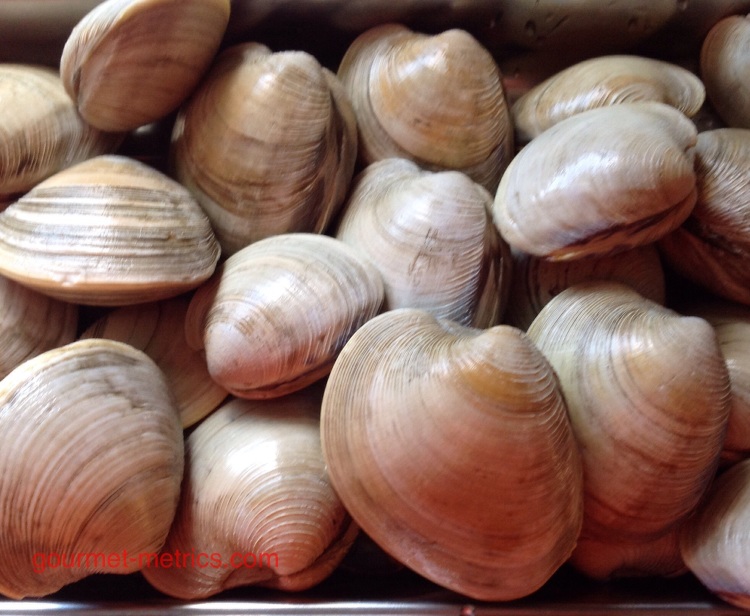 Long Island little neck clams